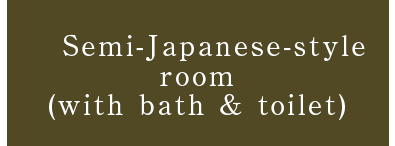 Semi-Japanese-style room